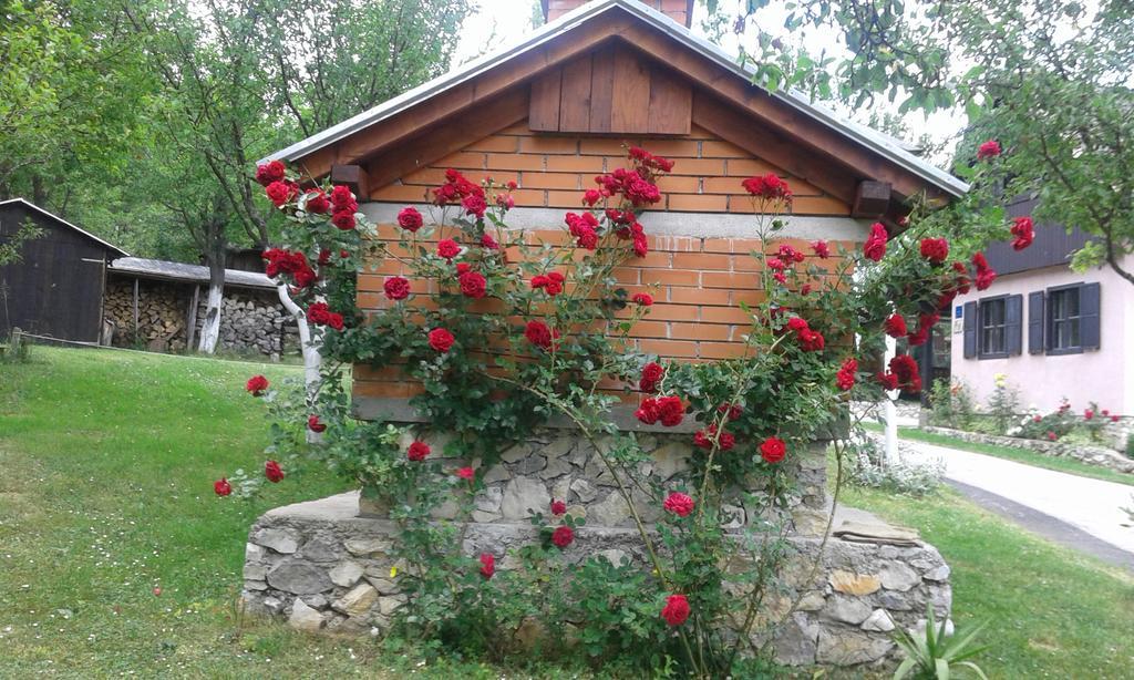 Guesthouse Andrea Poljanak Exterior photo